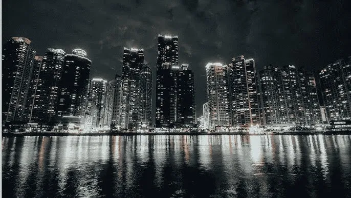楼凤阁网站 - 城市之光：霓虹背后的人间烟火